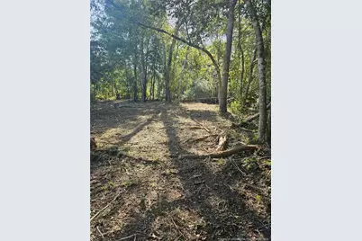 52 Acres River Access, Lumberton, NC 28360 - Photo 17