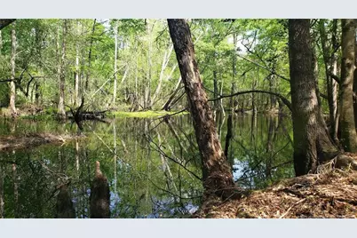 52 Acres River Access, Lumberton, NC 28360 - Photo 7