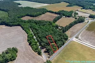 1780 Gainey Rd, Raeford, NC 28376 - Photo 1