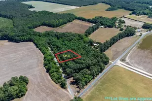 Lot 3 Landsend Dr, Raeford, NC 28376 - Photo 1