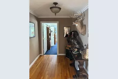3744 Nc Hwy 210 Highway E, Harrells, NC 28444 - Photo 11