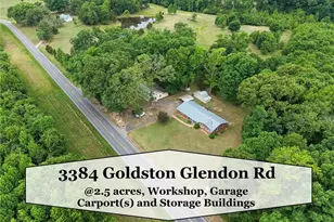 3384 Goldston Glendon Rd, Goldston, NC 27252 - Photo 1