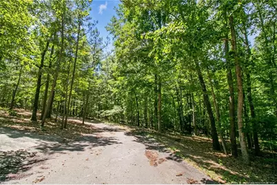 Tbd Buggy Drive W, Carthage, NC 28327 - Photo 1
