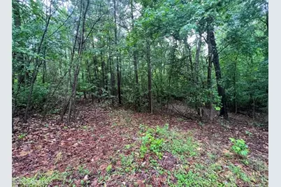 Tbd Buggy Drive W, Carthage, NC 28327 - Photo 13