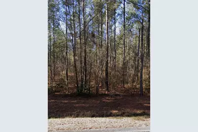 McBryde Street, Linden, NC 28356 - Photo 1