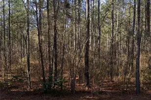 McBryde St, Linden, NC 28356 - Photo 1