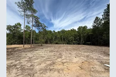 125 Omie Branch Lane, Lillington, NC 27546 - Photo 9