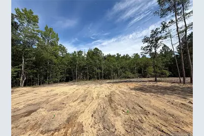 89 Omie Branch Lane, Lillington, NC 27546 - Photo 13