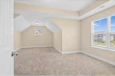 117 Trinity Road, Raeford, NC 28376 - Photo 33