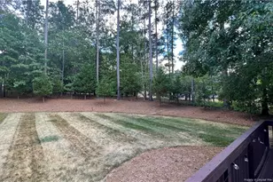 3083 Carolina Way, Sanford, NC 27332 - Photo 21