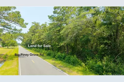 Big Piney Grove Road, Clinton, NC 28328 - Photo 5