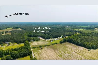 Big Piney Grove Road, Clinton, NC 28328 - Photo 3