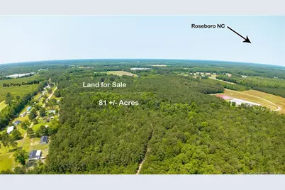 Big Piney Grove Road, Clinton, NC 28328 - Photo 1