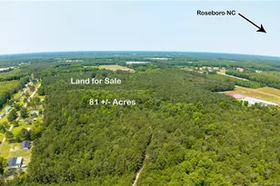 Big Piney Grove Rd, Clinton, NC 28328 - Photo 1