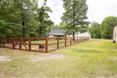 10063 N Nc 96 Highway, Benson, NC 27504 - Photo 3