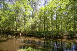 168 Riverview Dr, Vass, NC 28394 - Photo 39