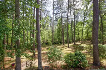 168 Riverview Drive, Vass, NC 28394 - Photo 33
