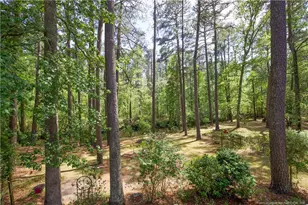 168 Riverview Dr, Vass, NC 28394 - Photo 33