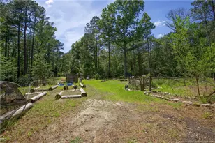 168 Riverview Dr, Vass, NC 28394 - Photo 43