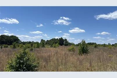 Snipes Road, Red Springs, NC  - Photo 3