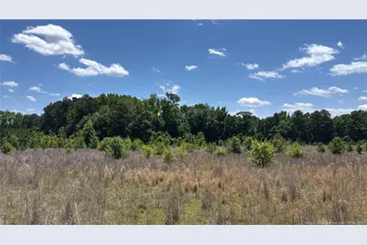 Snipes Road, Red Springs, NC  - Photo 1