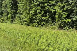 Lemon Springs Rd, Sanford, NC 27332 - Photo 1
