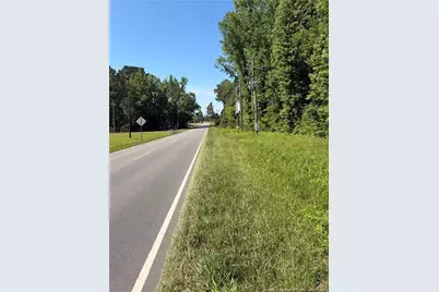 Lemon Springs Road, Sanford, NC 27332 - Photo 3