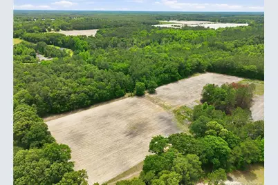 10400 Ruth Vinson Road, Autryville, NC 28318 - Photo 11