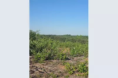 000 Skeen View Road, Asheboro, NC 27205 - Photo 9