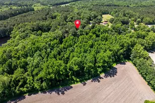 3255 Sunnyside School Rd, Fayetteville, NC 28312 - Photo 33