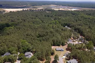 743 Warbler Pl, Vass, NC 28394 - Photo 37