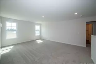 68 Mossy Brg Ct, Lillington, NC 27546 - Photo 21