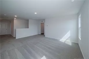 68 Mossy Brg Ct, Lillington, NC 27546 - Photo 23