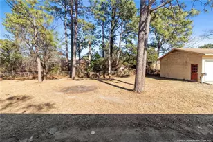 3101 Ansley Ct, Hope Mills, NC 28348 - Photo 27