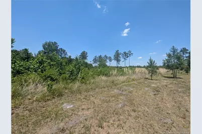 Tew Road, Autryville, NC 28318 - Photo 5