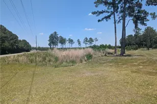 0 Tew Rd, Autryville, NC 28318 - Photo 1