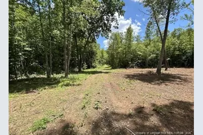Pointe Mayo Drive, Roxboro, NC 27574 - Photo 3