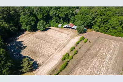 690 Live Oak Methodist Church Road, White Oak, NC 28399 - Photo 39