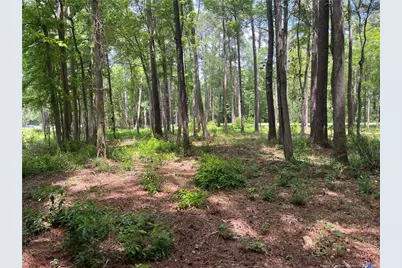 0 Bryant Circle, Maxton, NC 28364 - Photo 5