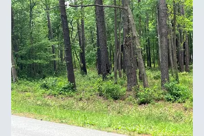 0 Bryant Circle, Maxton, NC 28364 - Photo 3