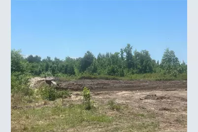 Harleyville Road, Rowland, NC 28383 - Photo 5
