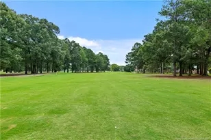 4155 Bent Grass Dr, Fayetteville, NC 28312 - Photo 21