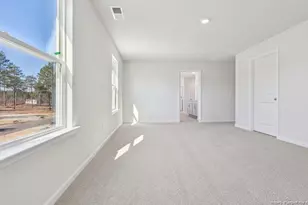 3097 Platinum Cir, West End, NC 27376 - Photo 13