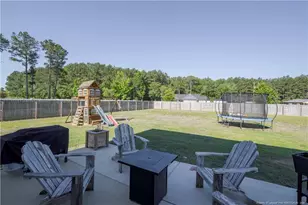 51 Merlin Ct, Godwin, NC 28344 - Photo 29
