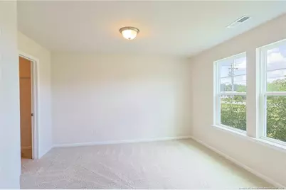 5565 Old US 421 Highway, Lillington, NC 27546 - Photo 11
