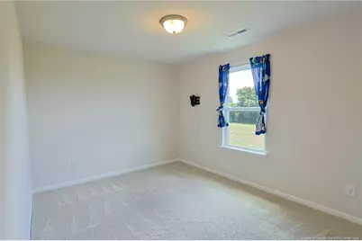 5565 Old US 421 Highway, Lillington, NC 27546 - Photo 21