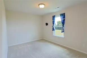 5565 Old US 421 Hwy, Lillington, NC 27546 - Photo 21