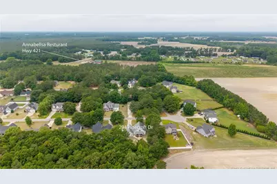 294 Pinecroft Drive, Dunn, NC 28334 - Photo 29