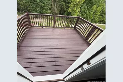 168 Placid Pond Drive, Broadway, NC 27505 - Photo 29