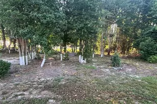 168 Placid Pond Dr, Broadway, NC 27505 - Photo 37